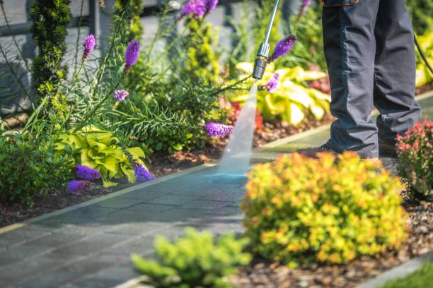Best Building Exterior Pressure Washing in Honaker, VA